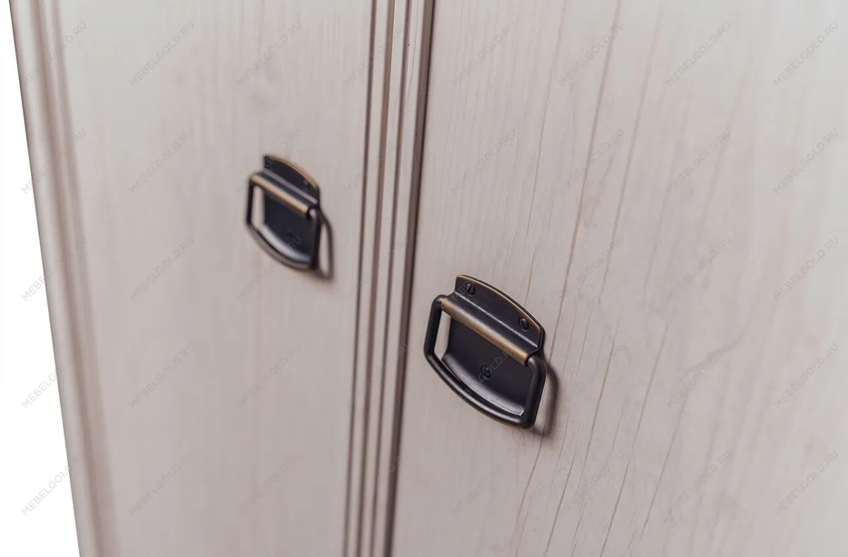 Шкаф 2-створчатый Магеллан 2DG2S | изображение 3