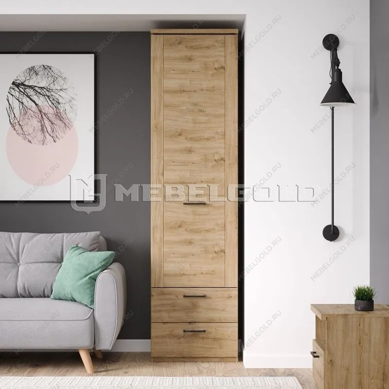 Шкаф Дорсет 1D2S | изображение 1