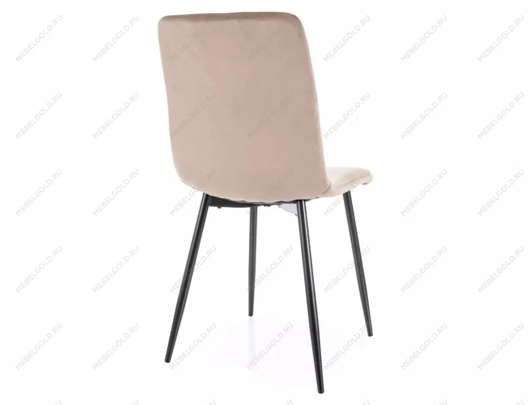 Стул кухонный Signal DAREN Velvet Bluvel 40 (темно-бежевый/черный) | изображение 3