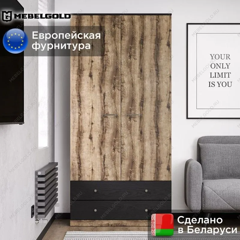 Шкаф 2-створчатый Джаггер 2DG2S | изображение 1