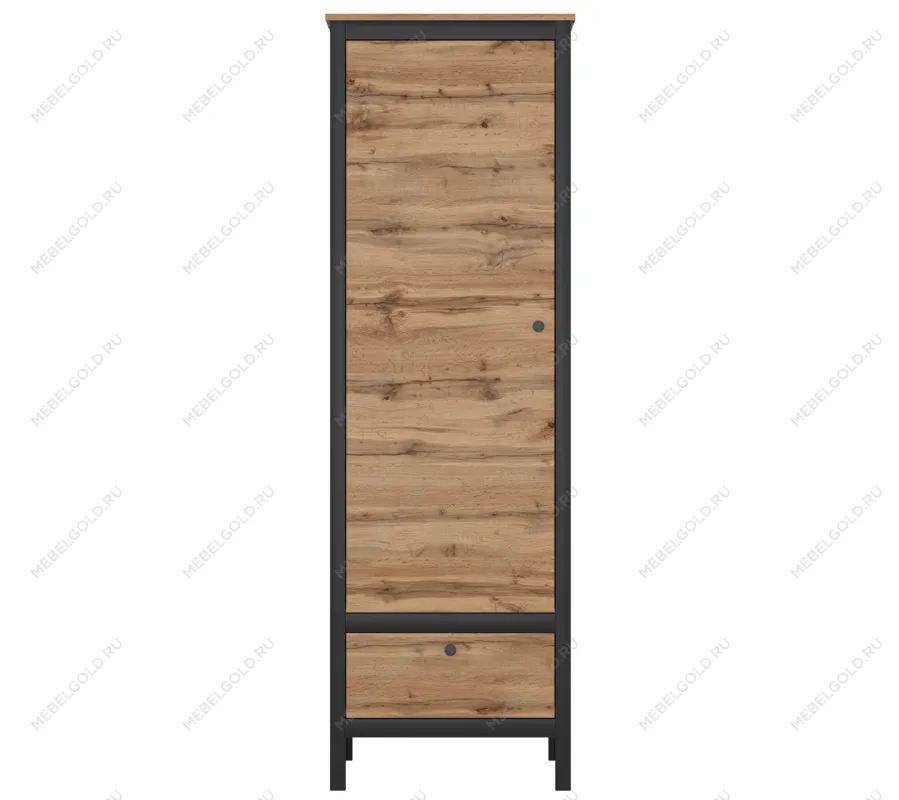 Шкаф Лофт REG1D1S