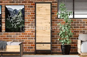 Шкаф Лофт REG1D1S